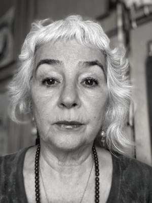 Ana Luisa Sallas